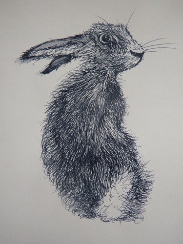 Disegno lepre inchiostro - , su