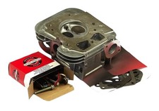 Testa cilindro Briggs &