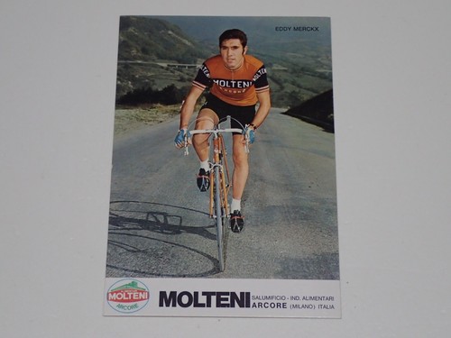 Eddy merckx molteni - eddy,