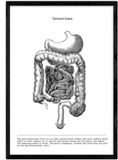 Poster stampa artistica