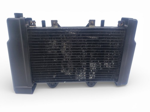 Radiatore triumph - radiatore,