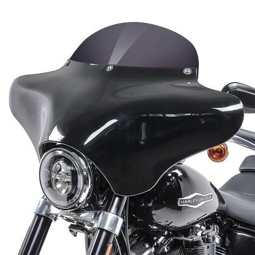 Carena batwing con - carena, parabrezza