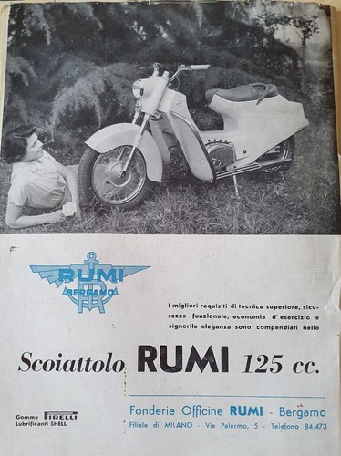 Moto rumi scoiattolo advert - scoiattolo,