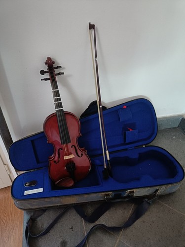 Violino studio stentor - studio,