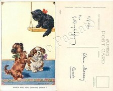 Cucciolo di gatto su altalena e cuccioli di cane invidiosi / illustratore Valter