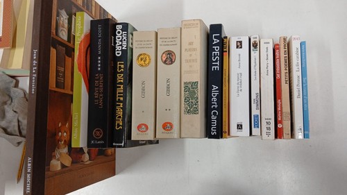 Lotto libri lingua - libri,