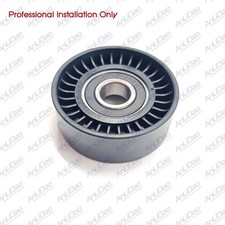 Puleggia folle Repl Mercury