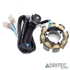 ✅ STATORE ALTERNATORE per