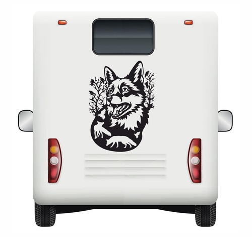 Adesivi auto fauna selvatica