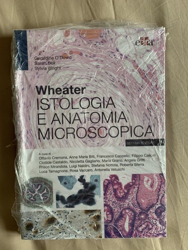 Wheater istologia anatomia - e,