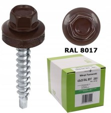 250x4,8x35mm Acciaio Inox Ral