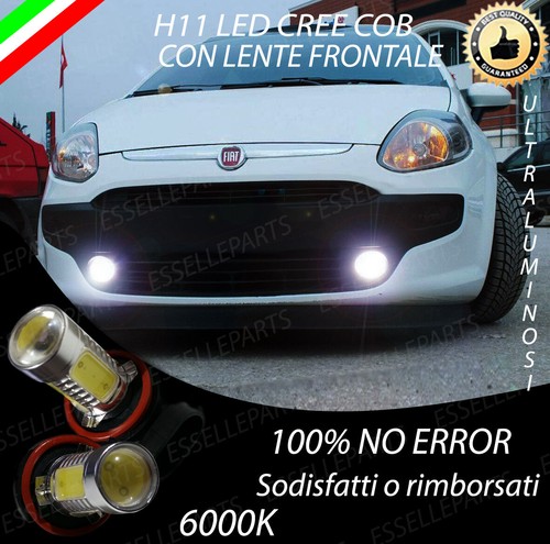 Coppia lampade fendinebbia - coppia,