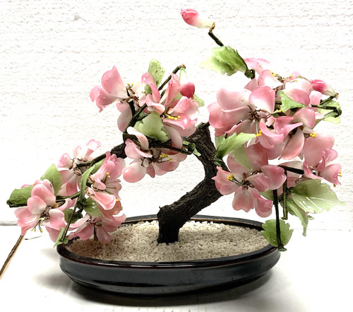 Antico bonsai decorativo - decorativo, in