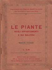 Le piante negli appartamenti e