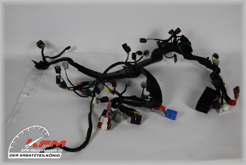 Cablaggio elettrico honda cbr - elettrico,