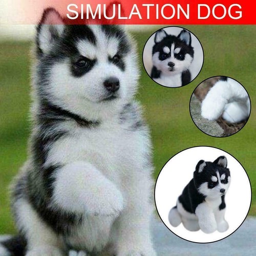 Realistico husky dog - husky,