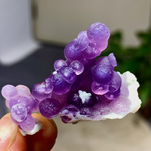 13g natural purple grape - 13g,