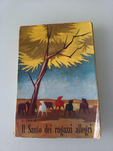 Santo dei ragazzi allegri - il,