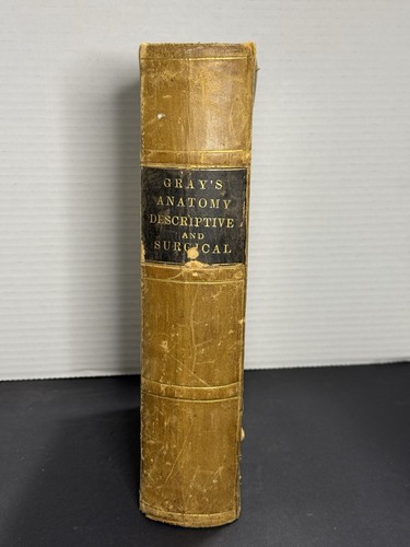 Rare 1883 gray anatomy - gray's,