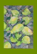 QUADRO DIPINTO a mano natura morta Limoni d'Amalfi acquerello su carta 35x25 cm.