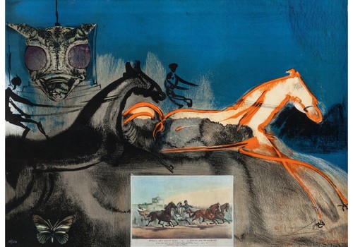 Salvador dalí spagnolo - salvador,