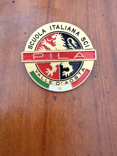 Pin distintivo spilla scuola - distintivo,