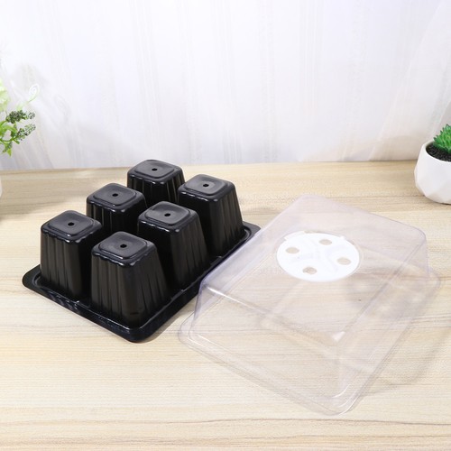 Set cellule traspirante - set,