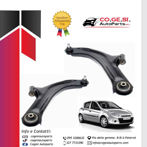 Coppia bracci oscillanti - coppia,