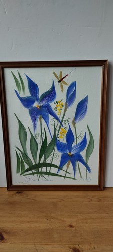 Mail firmata titcaca iris - mail,