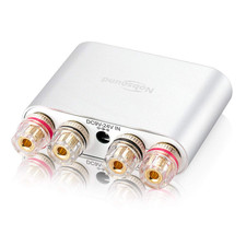 NS 10G Pro Hi Fi DSP 100 W (W X 2) Bluetooth 4.2 Amplificatore Digitale 2.0 Chan