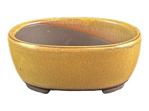 Vaso per bonsai giapponese - vaso,