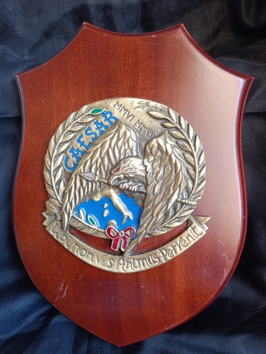 Raro crest reggimento - raro,