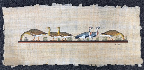Autentico papyrus egiziano - autentico,