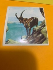 FIGURINA N.140 IL  MONDO DEGLI