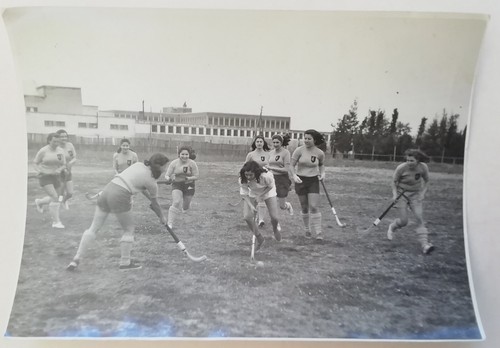 Fotografia hockey prato - hockey,