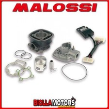 3112044 GRUPPO TERMICO MALOSSI