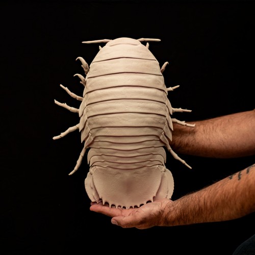 Giant isopod replica - giant,