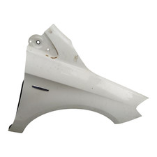 Parafango Anteriore Destro