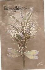 C2- Cp Cartolina Augurale Natale Anno Fiori Libellula - Fp Nvg