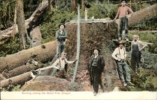 Oregon Logging Lumberjacks