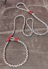 COLLARE GUINZAGLIO CANE