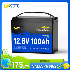 Batteria 12V 100Ah LiFePO4