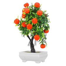  Albero Di Kumquat Simulato