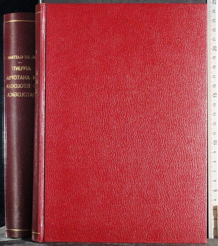 Appunti anatomia ed - di,