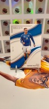 Davide frattesi panini - frattesi,