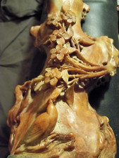 Bonsai cinese antico ramo