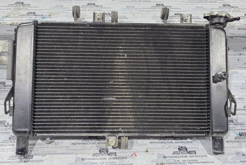 Radiatore acqua yamaha 09 - radiatore,