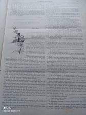 LA TRIBUNA ILLUSTRATA 1891