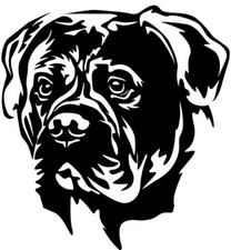 Adesivo Bullmastiff - adesivo