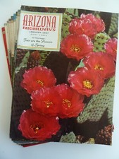 Lot of (10) Vintage ARIZONA